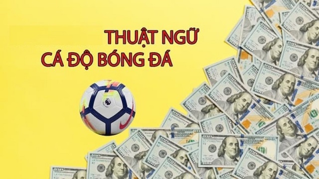 Các thuật ngữ cá độ trực tuyến bóng đá tại nhà cái online